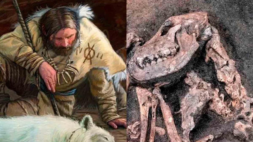 Hallan en Suecia un perro de la Edad de Piedra enterrado con una daga
