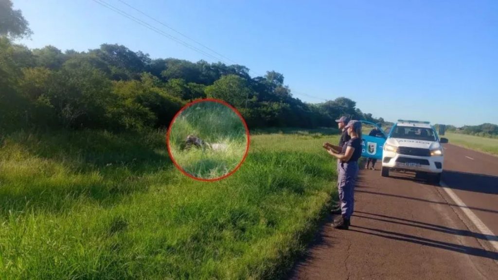Hallazgo macabro sobre la Ruta 16: investiga la muerte de un hombre encontrado sin vida cerca de Puerto Tirol