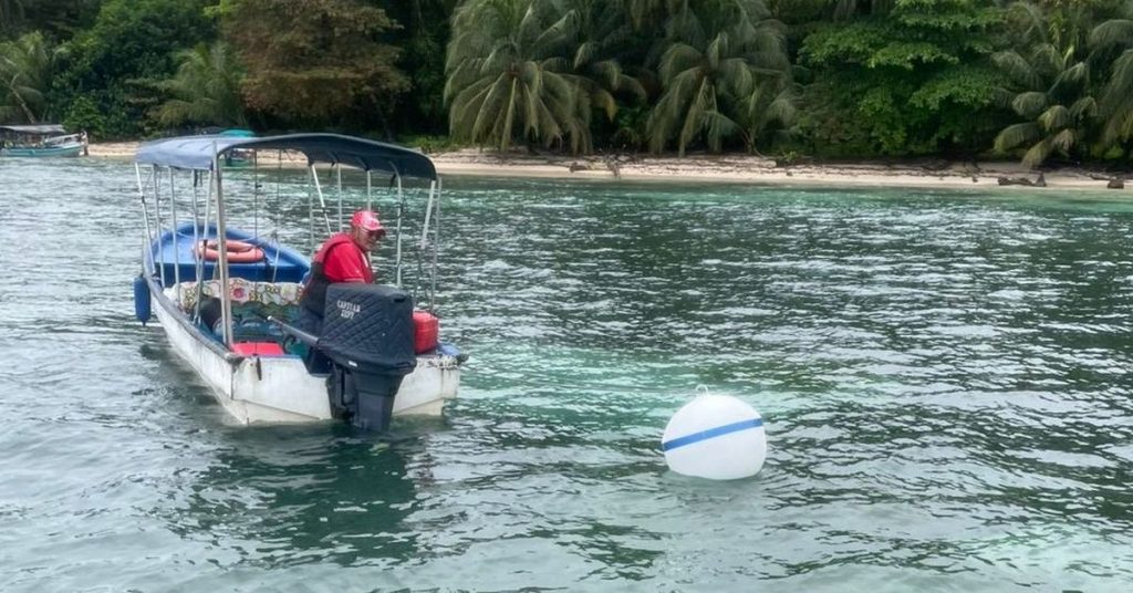Instalan boyas en el Parque Marino Isla Bastimentos para proteger arrecifes coralinos y pastos marinos - Nacionales