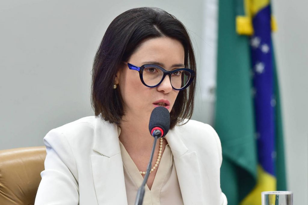 Instituto de mujeres faz lobby contra el aborto en Brasilia - 25/01/2026 - Política