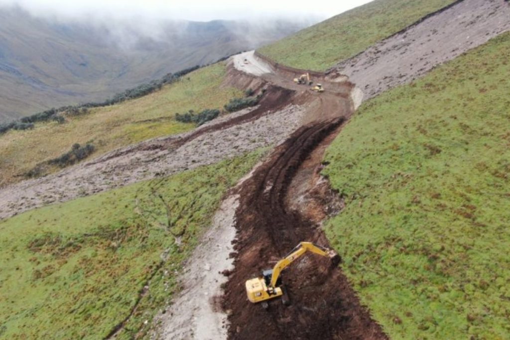 Justicia detiene ampliación vial en Cotopaxi para evitar la extinción de anfibio único en el mundo