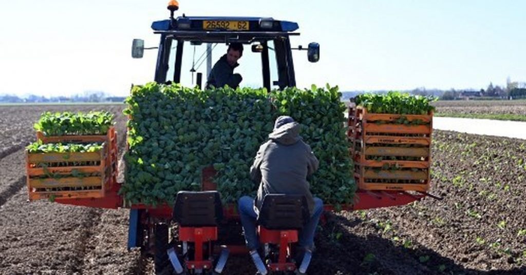 La UE ofrece fondos adicionales a agricultores ante descontento por acuerdo con Mercosur – Mundo La UE ofrece fondos adicionales a agricultores ante descontento por acuerdo con Mercosur - Mundo