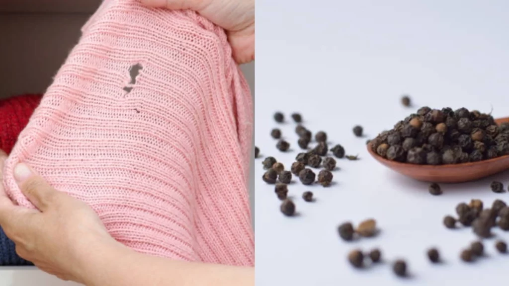 La especia que ayuda a eliminar las polillas de la casa y que es muy fácil de conseguir en cualquier cocina.