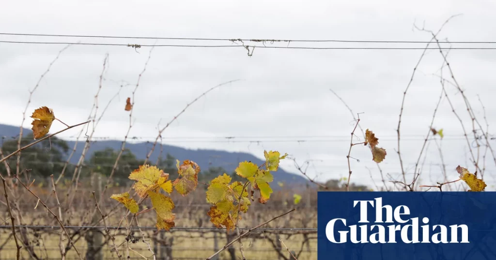 La muerte de un trabajador migrante filipino en Nueva Gales del Sur remitida a la policía federal | Nueva Gales del Sur