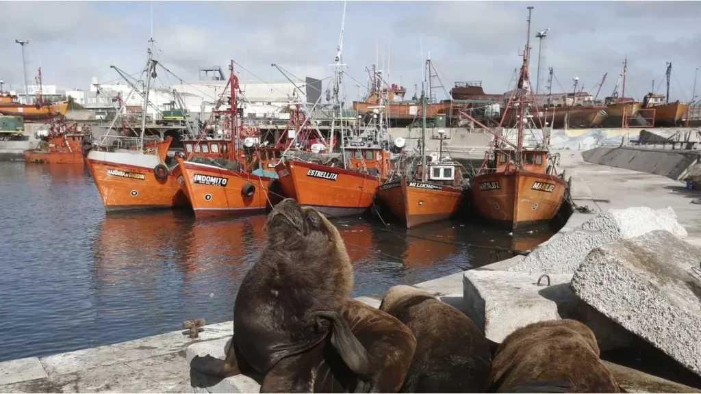 La provincia de Buenos Aires creó el Consejo Portuario: cuáles serán sus objetivos La provincia de Buenos Aires creó el Consejo Portuario: cuáles serán sus objetivos