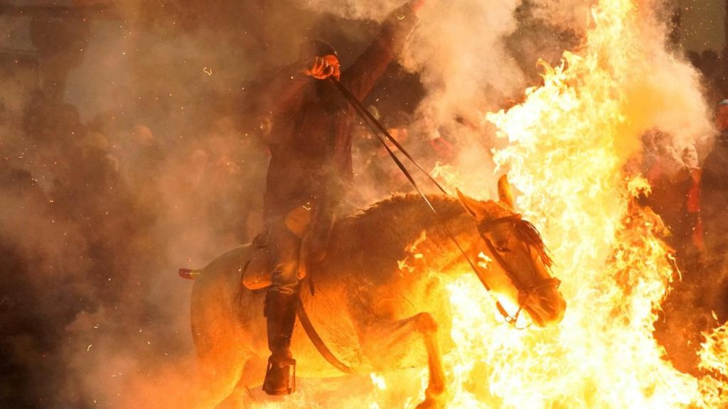 Los caballos vuelven a atravesar las llamas en las 'luminarias' de San Bartolomé de Pinares.