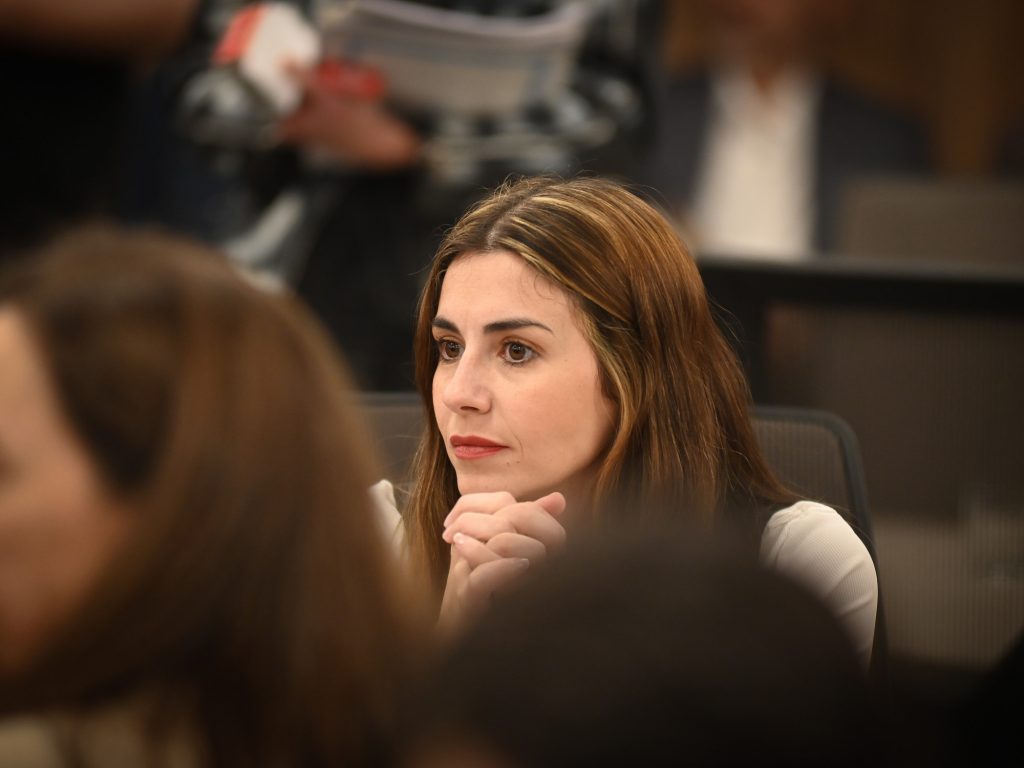 Marcela Pagano terminó formando un monobloque en Diputados