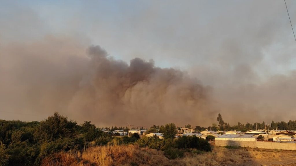 Más de 2.000 hectáreas consumidas y siete viviendas destruidas deja incendio forestal en Laja