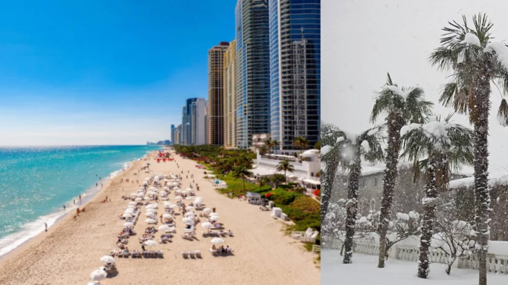 Miami tendrá frío de 0 grados, un clima histórico que rompe récord de hace 15 años: ¿se agravará el invierno? Miami tendrá frío de 0 grados, un clima histórico que rompe récord de hace 15 años: ¿se agravará el invierno?