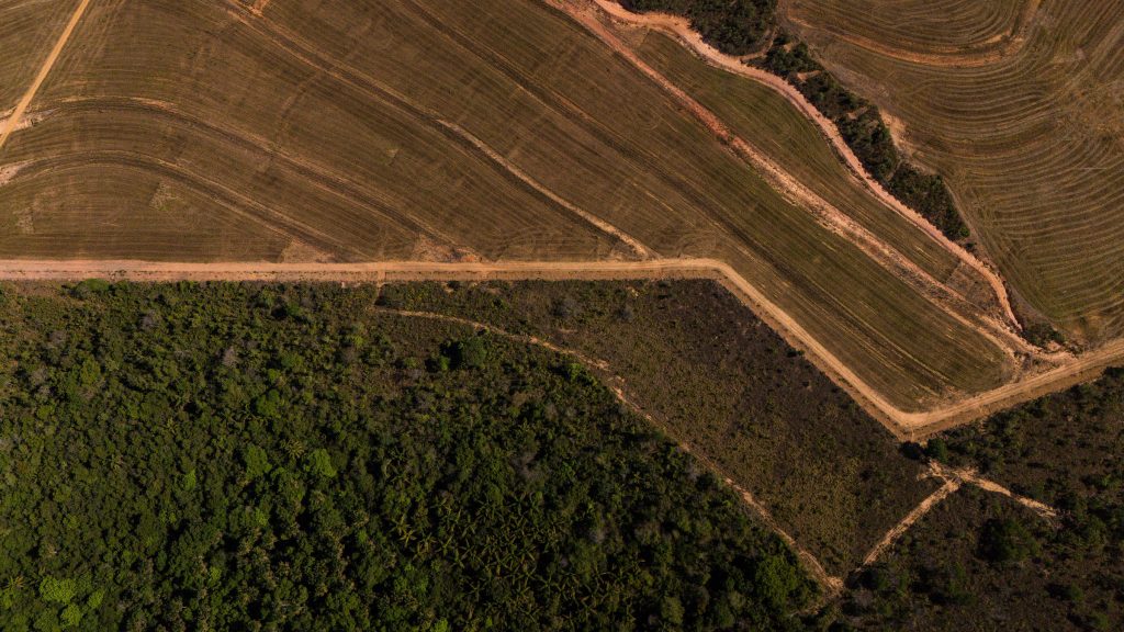 Moratória da soja: Supermercados dão ultimato a tradings – 31/01/2026 – Ambiente Moratória da soja: Supermercados dão ultimato a tradings - 31/01/2026 - Ambiente
