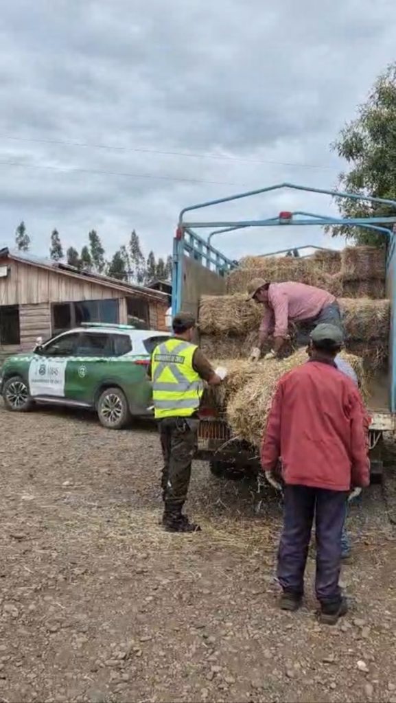 Oficina de Integración de la 4ta Comisaria de Carabineros Nueva Imperial y la Junta de Vigilancia Molco, acuden en ayuda de familias en Codihue Rincón Oficina de Integración de la 4ta Comisaria de Carabineros Nueva Imperial y la Junta de Vigilancia Molco, acuden en ayuda de familias en Codihue Rincón