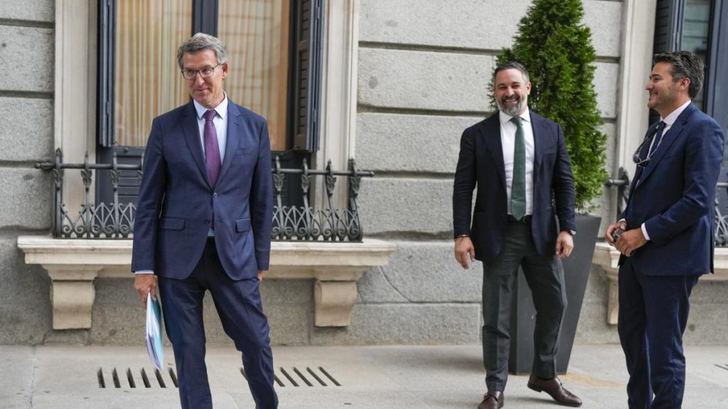 PP y Vox, jugando al gato y al ratón por Silvia Angulo