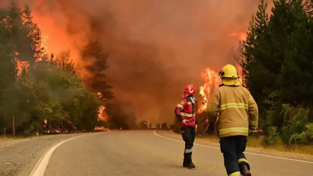 Piden una ley de Ecocidio por los incendios en Chubut: de qué se trata