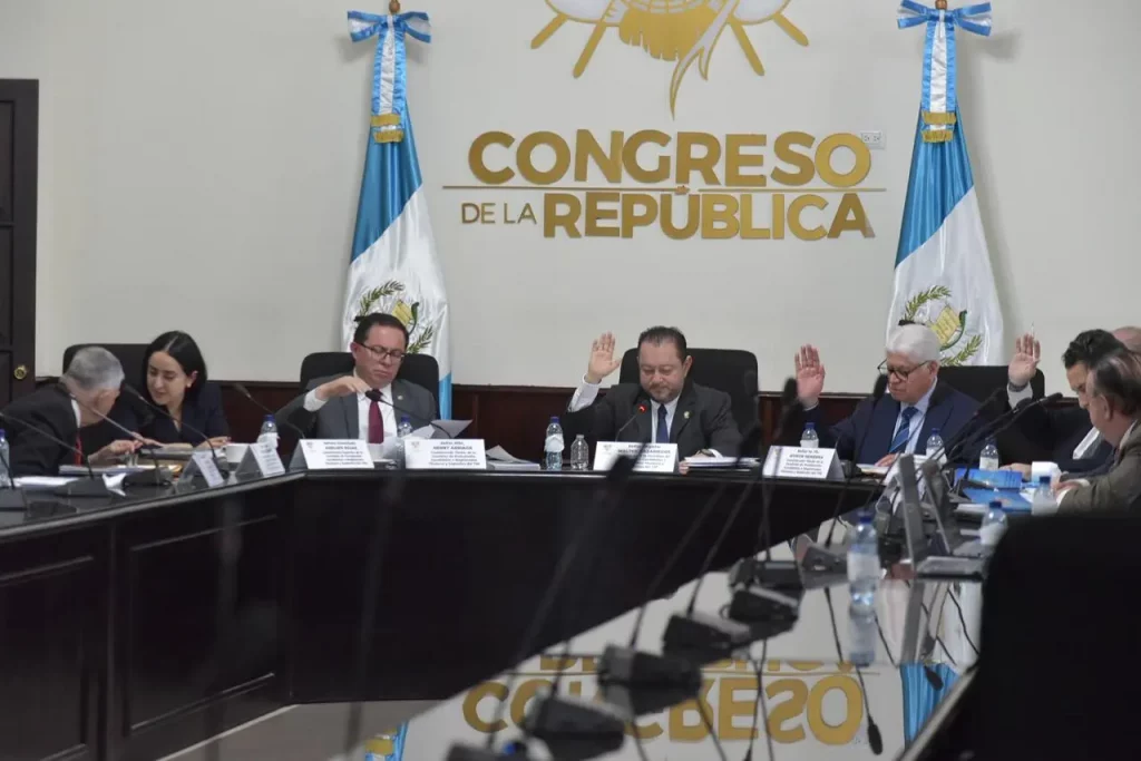 Postuladora TSE: Evaluación priorizará experiencia judicial y en el Tribunal Supremo Electoral