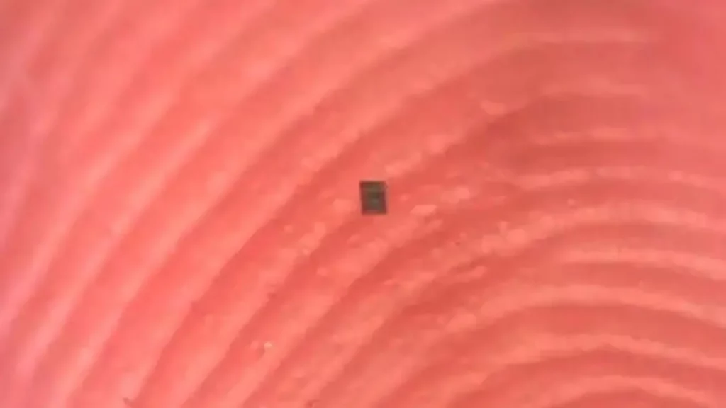 Presentan el robot más chico del mundo y aseguran que puede revolucionar la medicina.