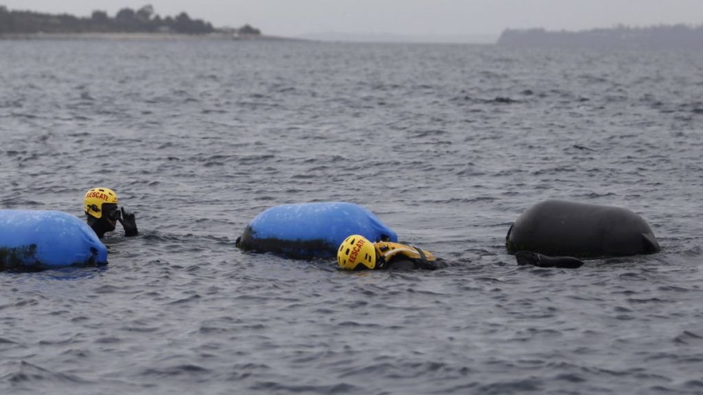 Puerto Varas: Buscan a joven de 19 años tras voltearse tabla en la que nadaba Puerto Varas: Buscan a joven de 19 años tras voltearse tabla en la que nadaba