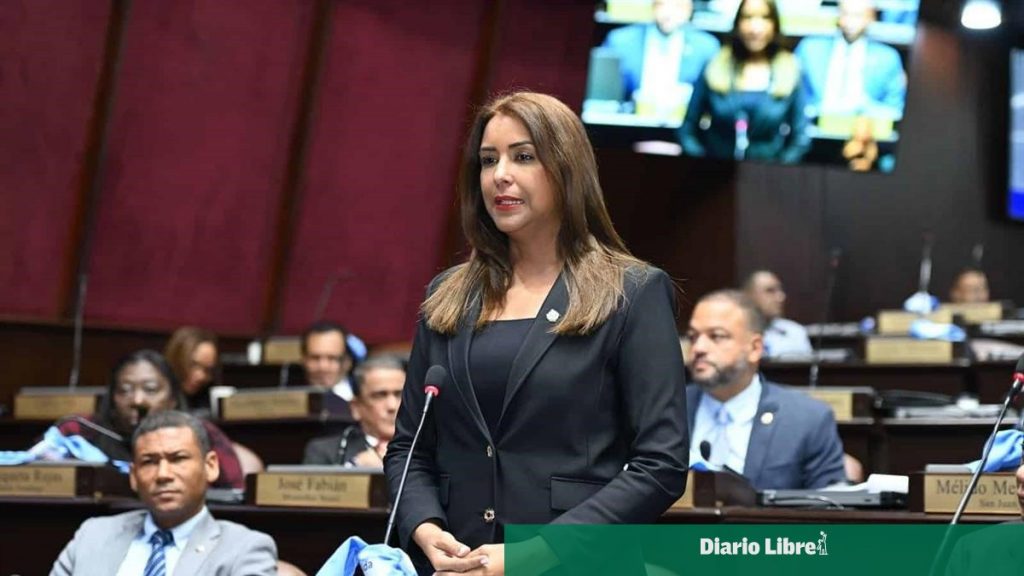 Selinée Méndez denuncia atrasos en proyecto de ley educativa