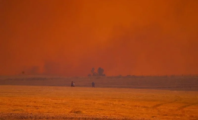 Senapred ordena evacuación inmediata en sectores de la comuna de Cholchol por incendio forestal – El Periódico Senapred ordena evacuación inmediata en sectores de la comuna de Cholchol por incendio forestal – El Periódico