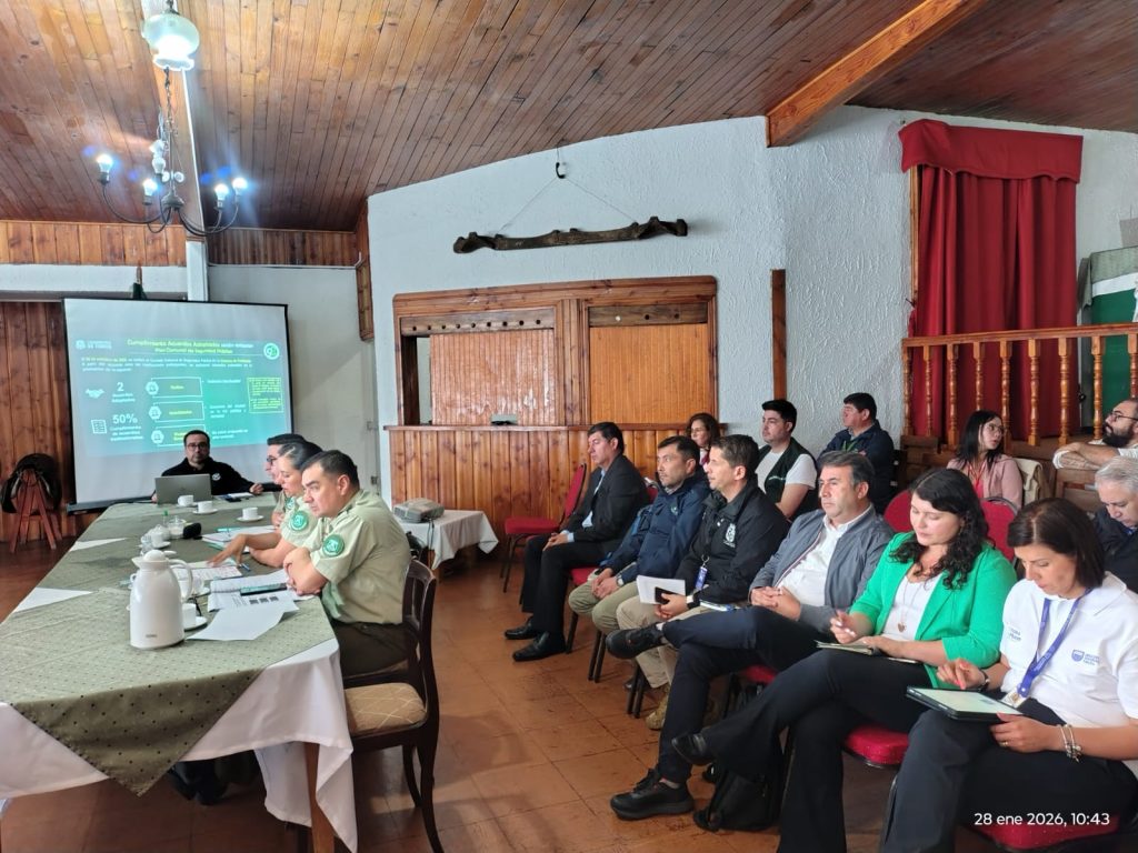 Sistema STOP en Puerto Montt.