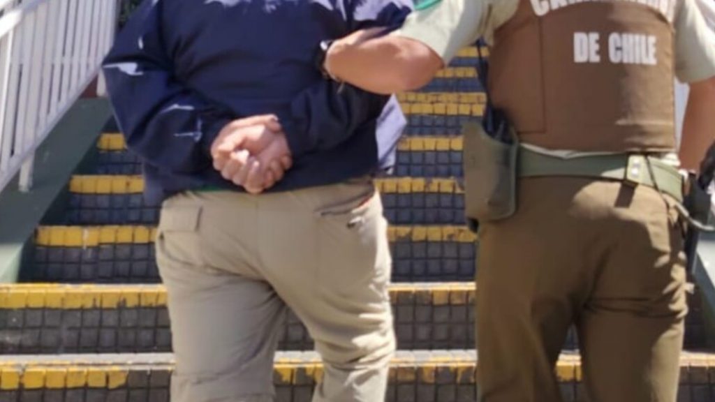 Sujeto fue detenido con plantación de marihuana en Quilaco