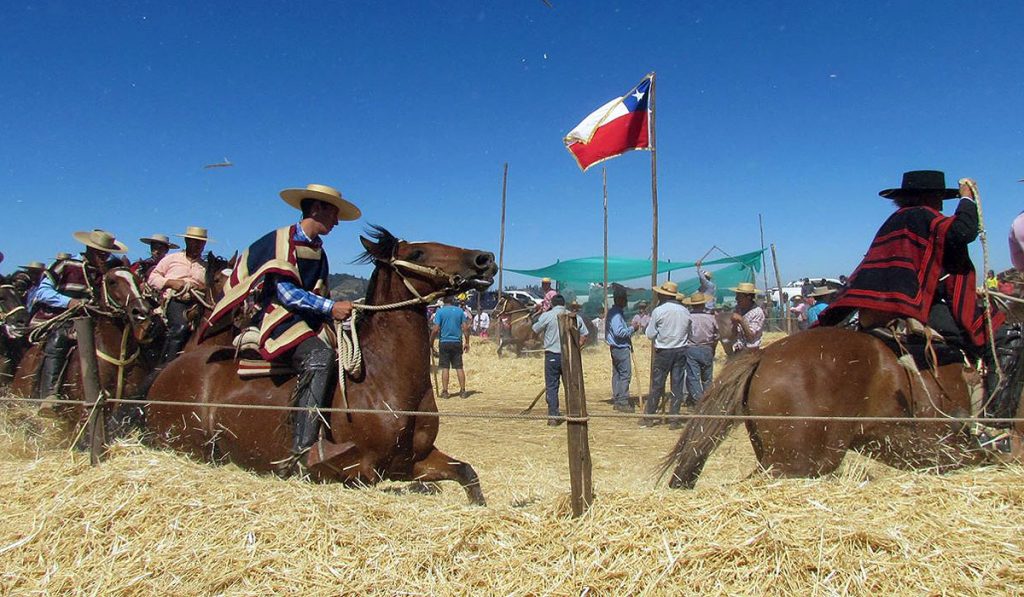 Temuco celebra su mundo rural con la primera Fiesta de la Trilla Temuco celebra su mundo rural con la primera Fiesta de la Trilla