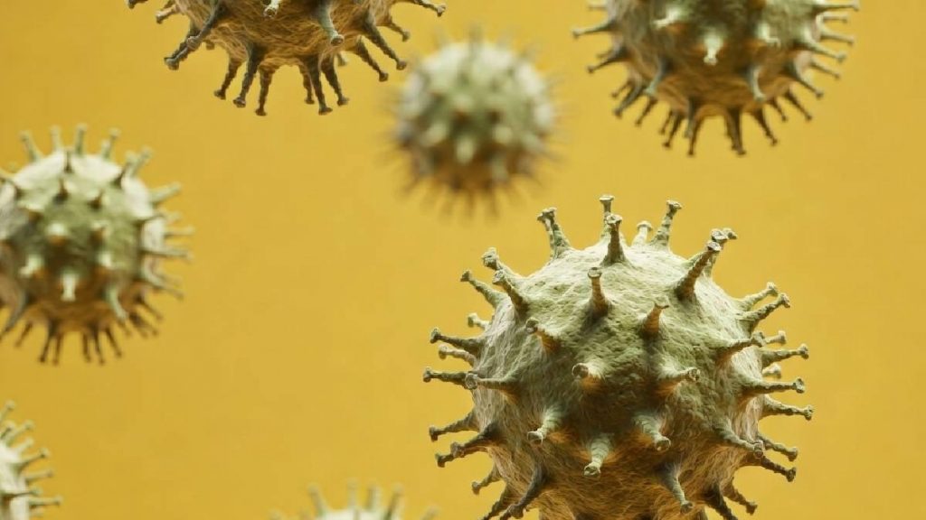 Virus que preocupan a la OMS Virus que preocupan a la OMS