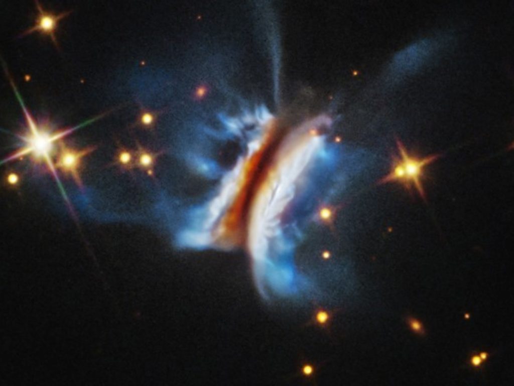 apareció el "sándwich de chivito de Drácula"