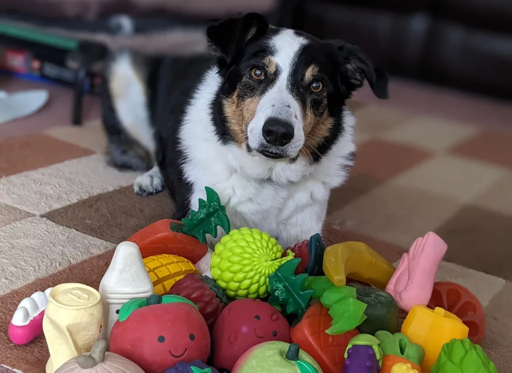 cómo algunos perros aprenden palabras al escuchar conversaciones no dirigidas a ellos