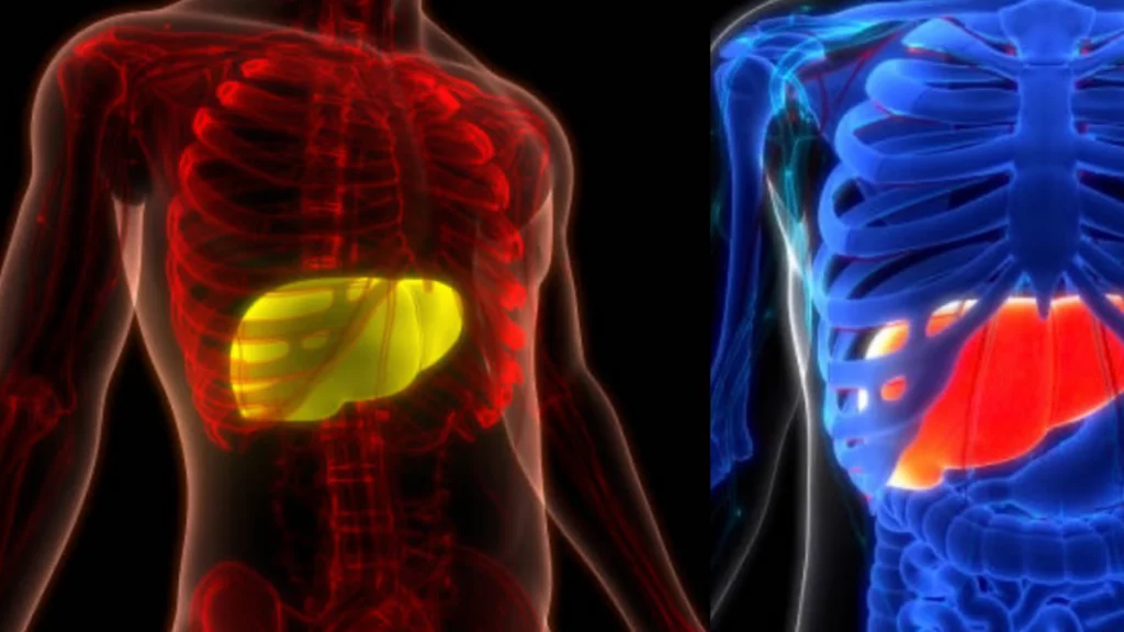 hábitos que lo favorecen y los que lo previenen, según la ciencia hábitos que lo favorecen y los que lo previenen, según la ciencia