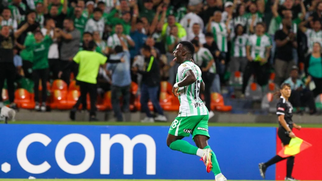 un chat evidencia su frustración