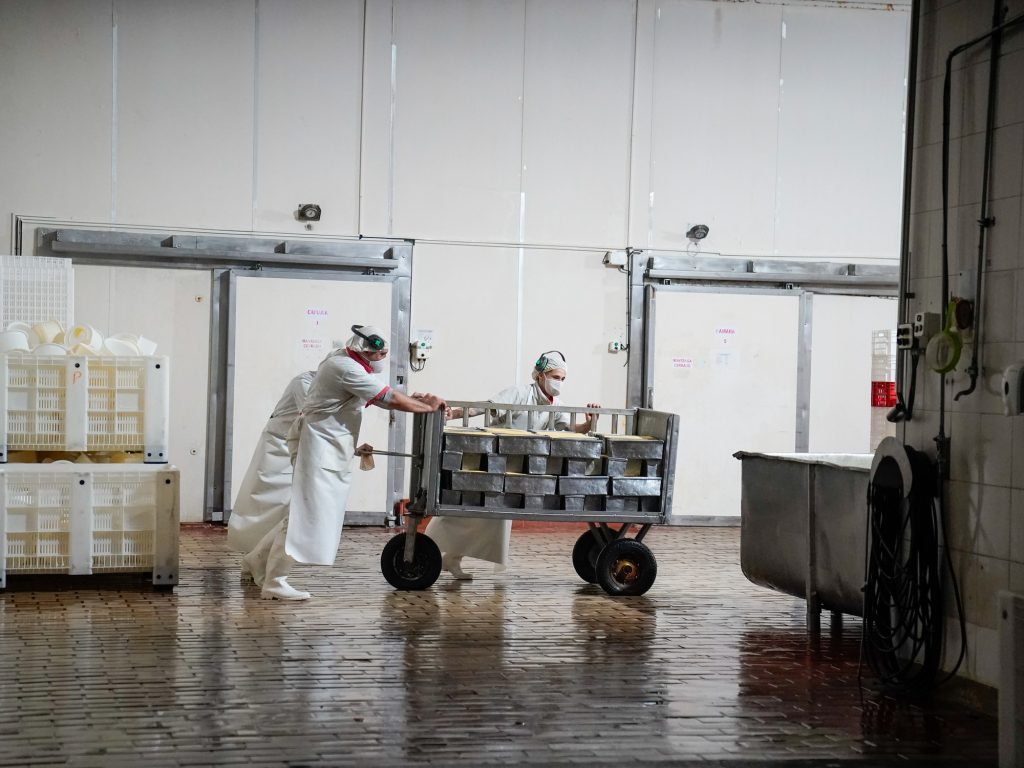 ¿Cuántos paganos por año y qué cambios hubo en 2025? ¿Cuántos paganos por año y qué cambios hubo en 2025?