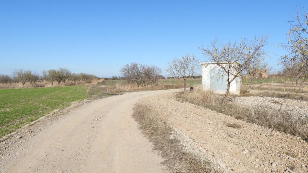 ¿Eres capaz de encontrar al pájaro en menos de 30 segundos? ¿Eres capaz de encontrar al pájaro en menos de 30 segundos?