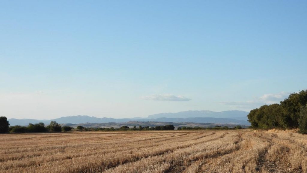 ¿Puedes encontrar la torre en menos de 30 segundos?