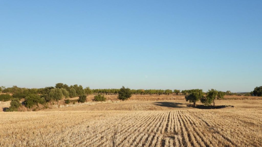 ¿Puedes ver la luna en menos de 30 segundos?