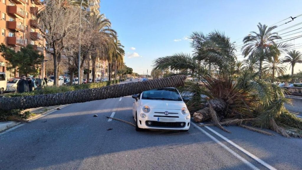 Alerta por viento extremo en Catalunya, hoy en directo