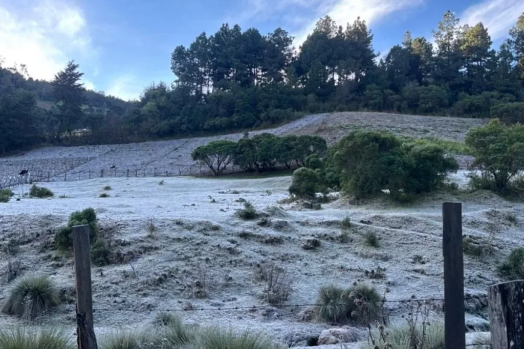 Ambiente frío y vientos de hasta 50 km/h marcarán la primera semana de febrero
