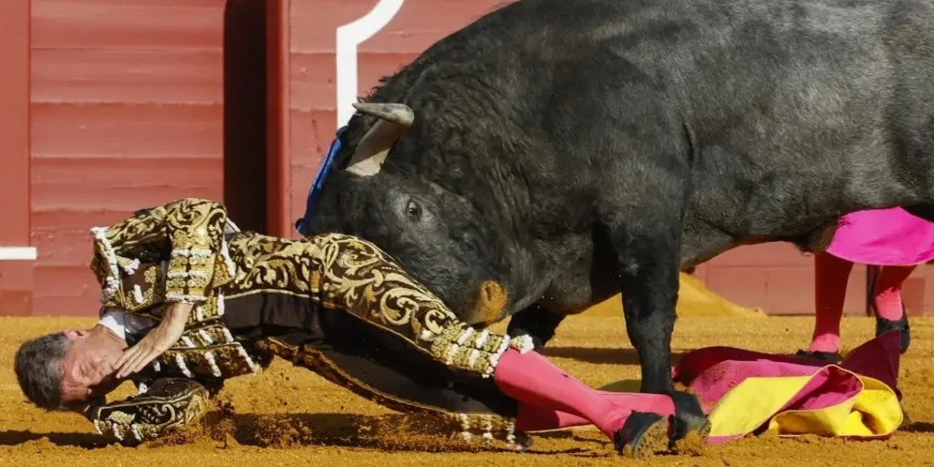 Así reacciona el cuerpo del torero a una cornada Así reacciona el cuerpo del torero a una cornada