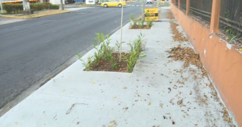 Autoridades de Betania inician proyecto para recuperar aceras y espacios públicos - Nacionales