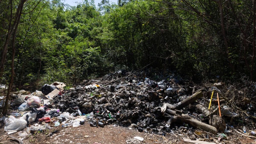Basura y contaminación en solares y Autovía del Este en Guayacanes