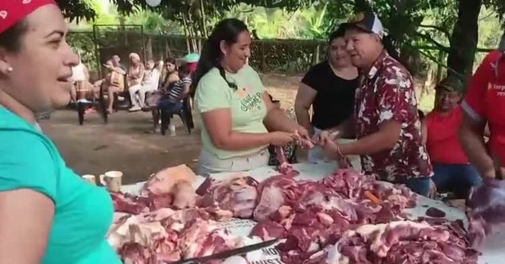 Carnaval 2026: En Pesé, una familia mantiene viva la tradición de la matanza - Nacionales