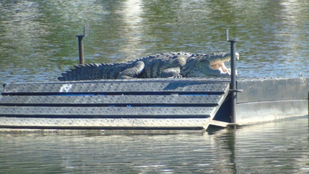 Clima Tampico hoy sábado 21 de febrero: pronósticos del tiempo, temperatura máxima y condiciones actuales