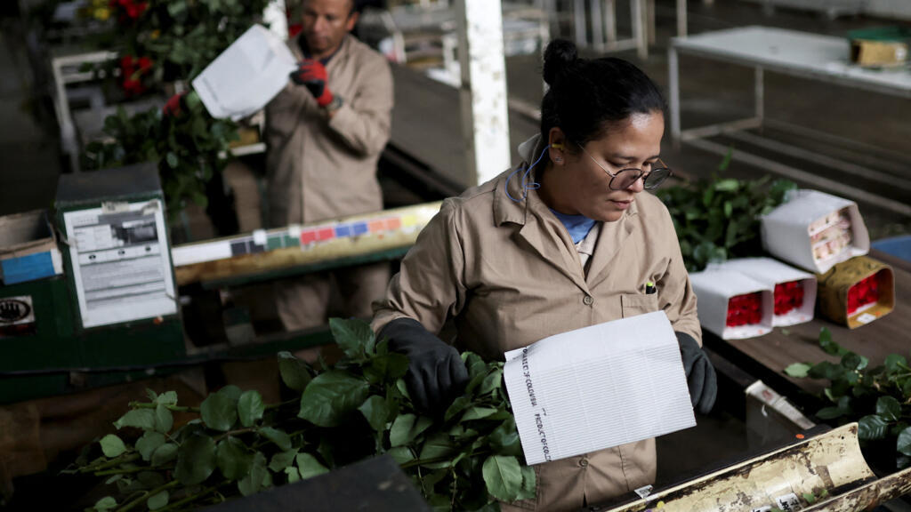 Colombia: Consejo de Estado suspende provisionalmente el alza del 23% en el salario mínimo Colombia: Consejo de Estado suspende provisionalmente el alza del 23% en el salario mínimo
