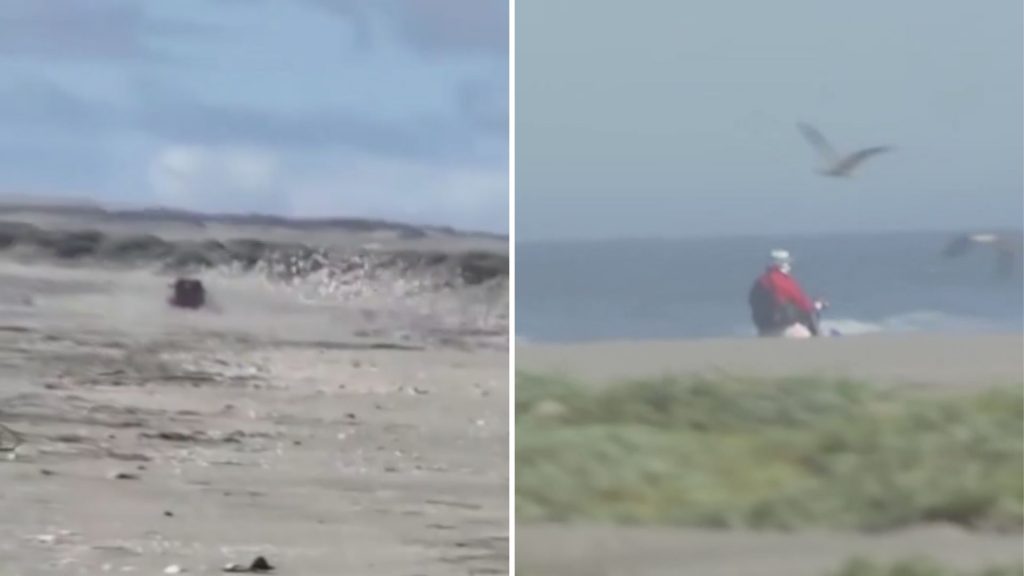 Conductores irrumpen en humedal protegido de Quintero provocando grave daño ambiental Conductores irrumpen en humedal protegido de Quintero provocando grave daño ambiental