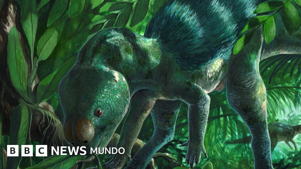 El dinosaurio del tamaño de un pollo que puede arrojar luz sobre la evolución de los ejemplares más grandes. El dinosaurio del tamaño de un pollo que puede arrojar luz sobre la evolución de los ejemplares más grandes.