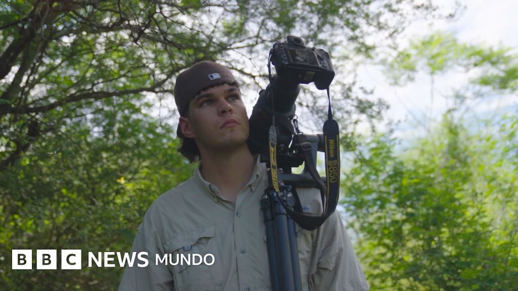 El joven uruguayo que busca al misterioso urutaú, el pájaro con camuflaje que es único en Sudamérica El joven uruguayo que busca al misterioso urutaú, el pájaro con camuflaje que es único en Sudamérica