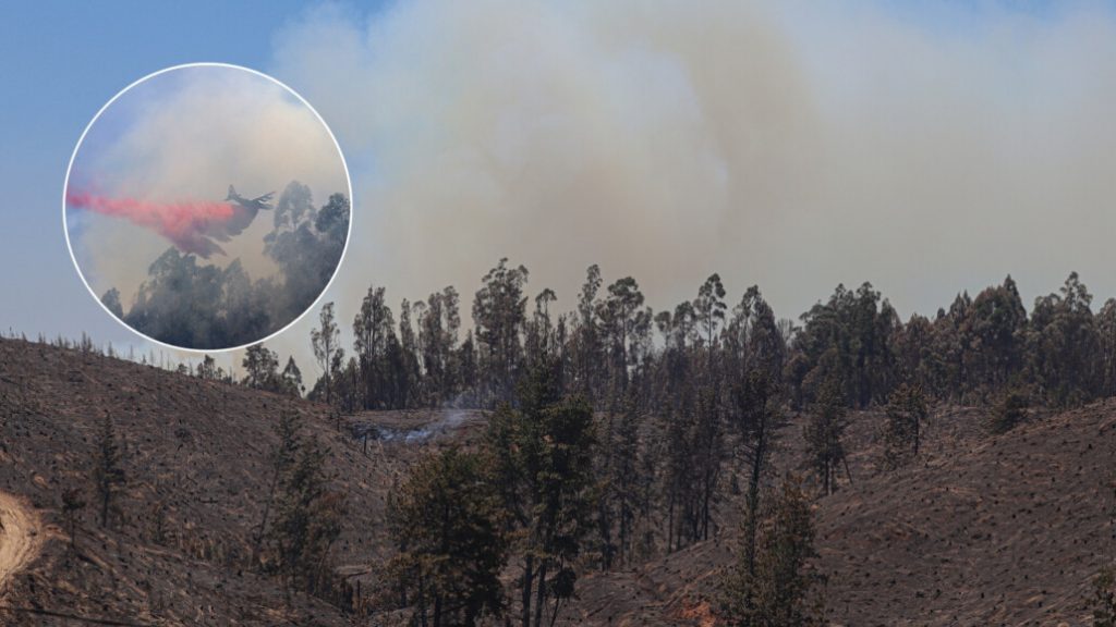 El otro gran incendio del Biobío: Más de 200 familias afectadas en Laja