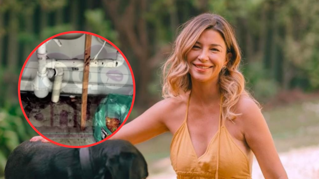 Fotos filtradas y acusación: el nuevo escándalo que salpica a Pancha Merino Fotos filtradas y acusación: el nuevo escándalo que salpica a Pancha Merino