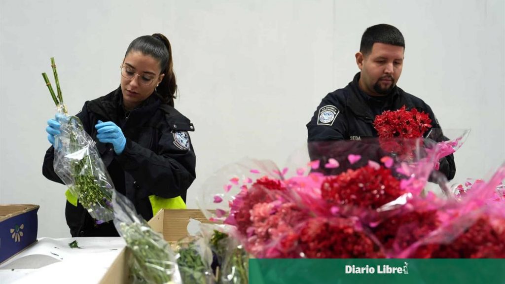 Importación de flores en Miami sube 6 % para San Valentín