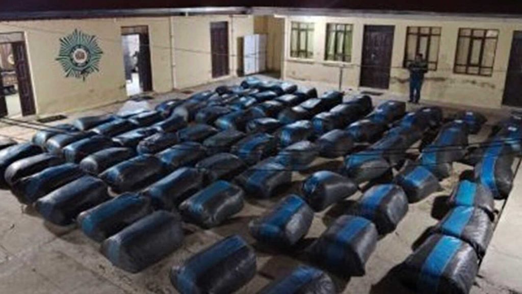 Incautan más de 4,7 toneladas de marihuana y 79 kilos de cocaína en operativos