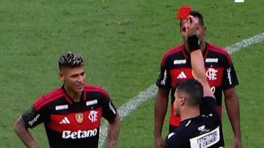 "Nunca había visto nada igual"